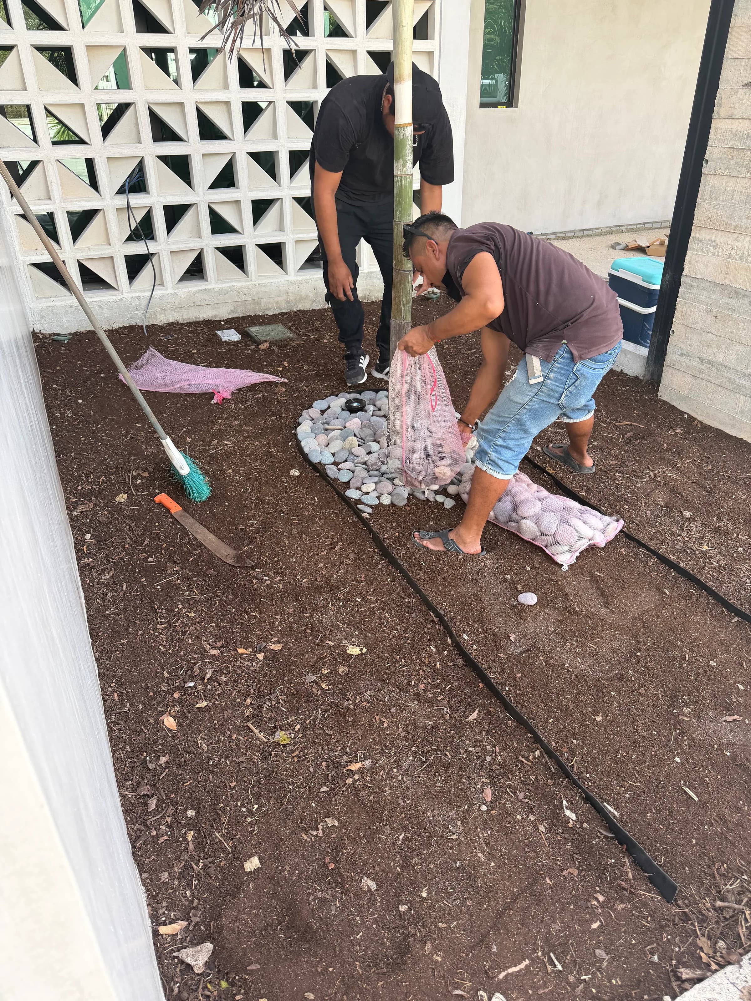 Pool maintenance Tulum — pool, irrigation and tropical landscaping
