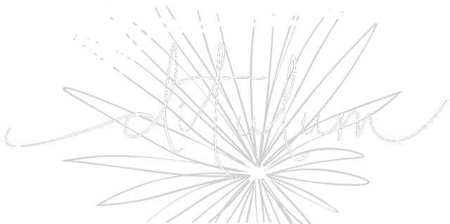 Ditulum Logo