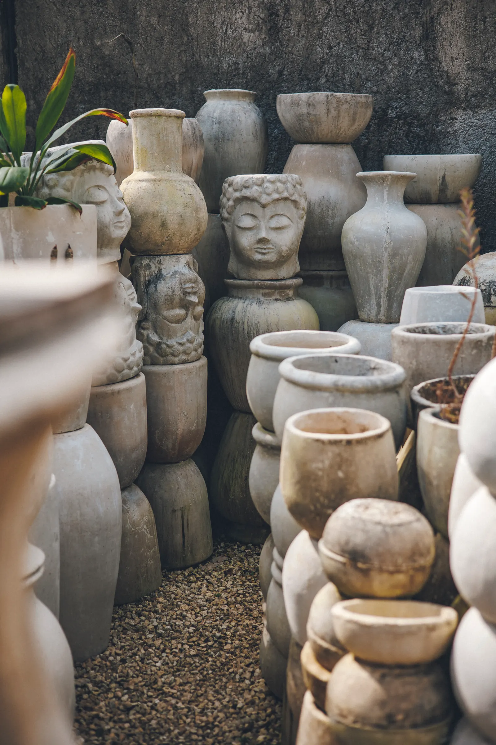 Pots & planters