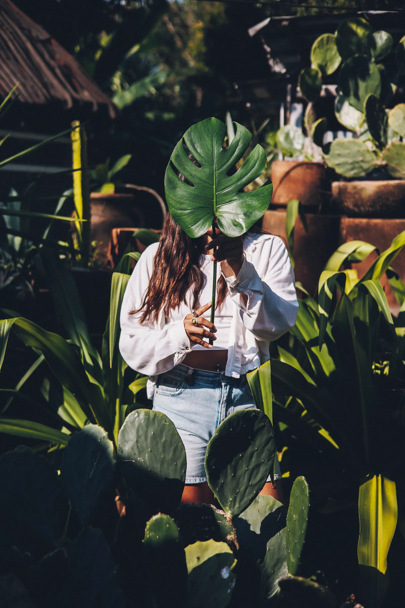 Ditulum tropical nursery in Tulum